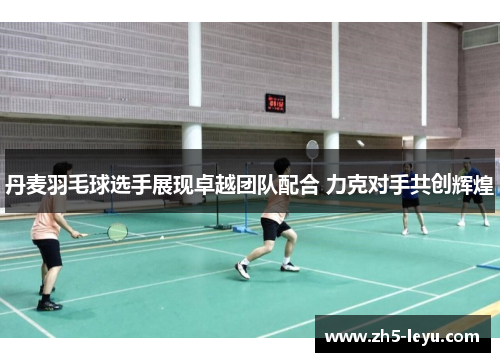 丹麦羽毛球选手展现卓越团队配合 力克对手共创辉煌