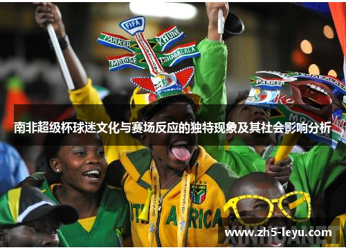 南非超级杯球迷文化与赛场反应的独特现象及其社会影响分析