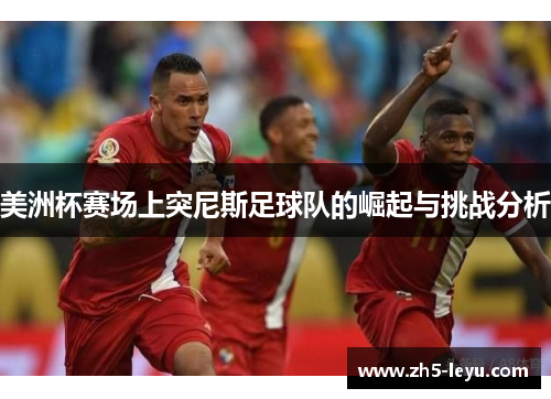 美洲杯赛场上突尼斯足球队的崛起与挑战分析