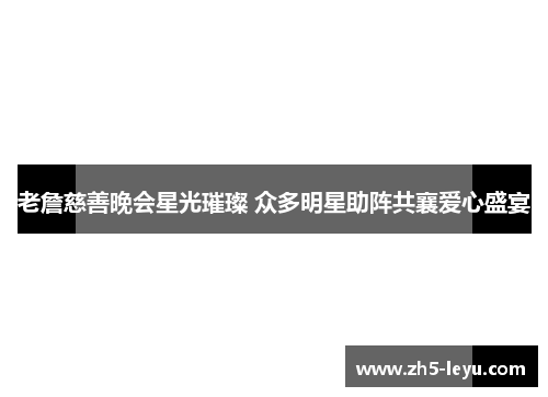 老詹慈善晚会星光璀璨 众多明星助阵共襄爱心盛宴