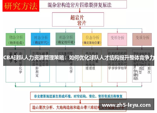 CBA球队人力资源管理策略：如何优化球队人才结构提升整体竞争力