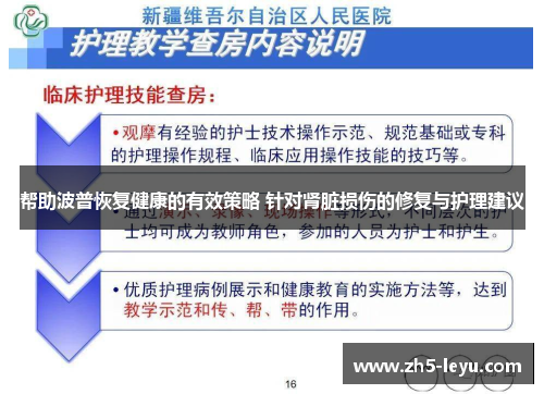 帮助波普恢复健康的有效策略 针对肾脏损伤的修复与护理建议