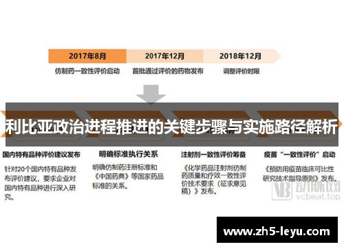 利比亚政治进程推进的关键步骤与实施路径解析