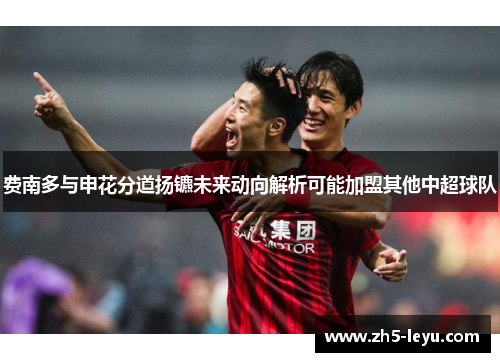 费南多与申花分道扬镳未来动向解析可能加盟其他中超球队