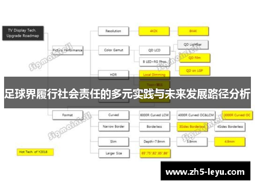 足球界履行社会责任的多元实践与未来发展路径分析