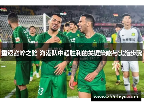 重返巅峰之路 海港队中超胜利的关键策略与实施步骤