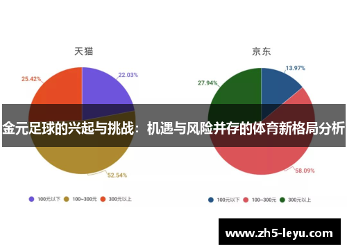 金元足球的兴起与挑战：机遇与风险并存的体育新格局分析