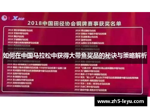 如何在中国马拉松中获得大带鱼奖品的秘诀与策略解析