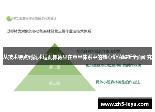 从技术特点到战术适配佩德里在意甲体系中的核心价值解析全面研究