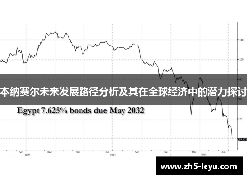 本纳赛尔未来发展路径分析及其在全球经济中的潜力探讨