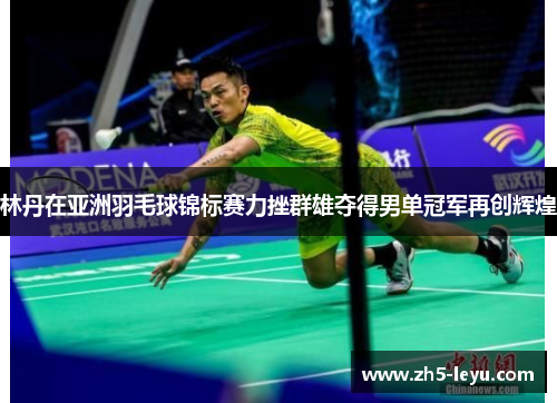 林丹在亚洲羽毛球锦标赛力挫群雄夺得男单冠军再创辉煌