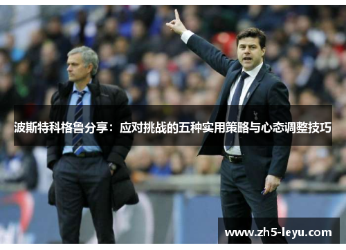 波斯特科格鲁分享：应对挑战的五种实用策略与心态调整技巧