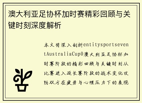 澳大利亚足协杯加时赛精彩回顾与关键时刻深度解析